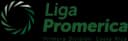 Primera División Logo