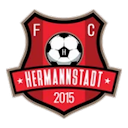 AFC Hermannstadt Logo
