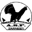 Olimpic Zărneşti Logo