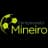 Campeonato Mineiro Segunda Divisão Logo