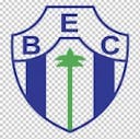 Campeonato Maranhense Logo