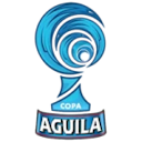 Copa Colombia Logo
