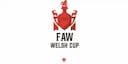 Welsh Cup Logo